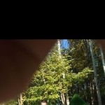 , 36 (1 , 0 )