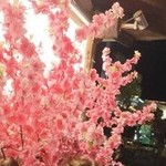 ���� ��������, 46