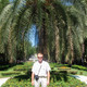 Алексей, 43