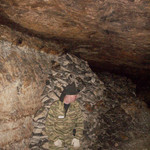 Дмитрий, 44