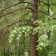 сергей, 43