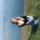 Katty, 40 (1 , 0 )