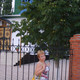 Лариса, 66