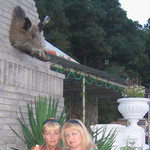Светлана, 53