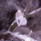 Ксенечка, 35