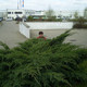Ольга, 70