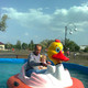 Владимир, 43