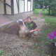 Павел, 37