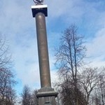 дмитрий, 46