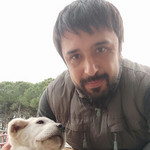 Fatih, 39