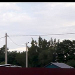 Волчонок, 37