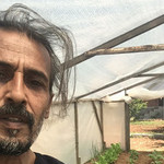 fatih, 50